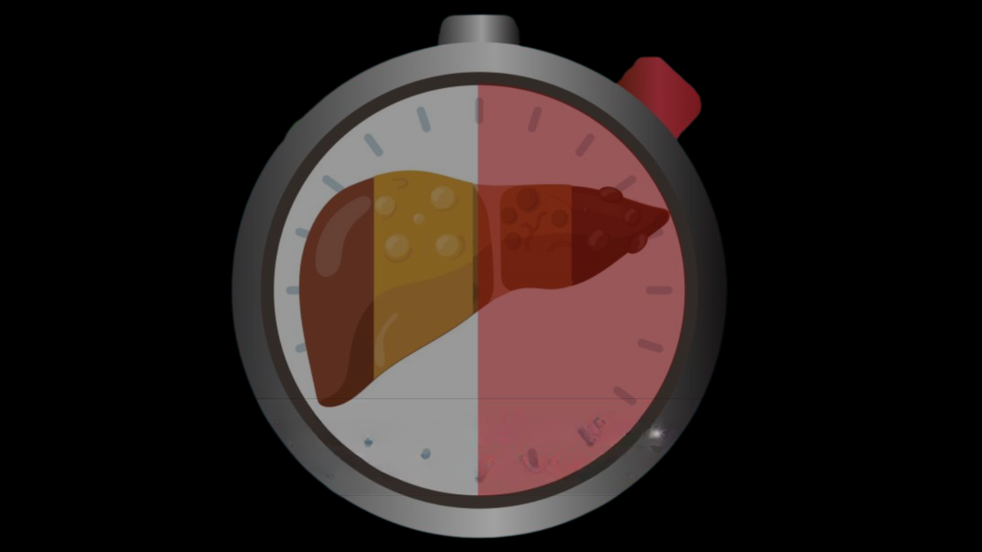 Early Detection Is Liver Protection: The Power of Proactive Screening