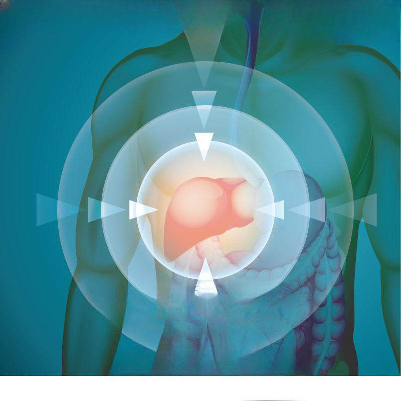 Understanding the Liver Health || Fibronostics