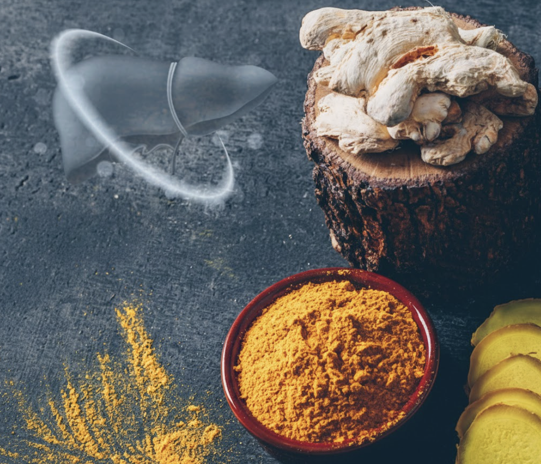 Turmeric & Liver Health | Fibronostics